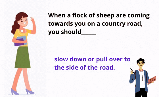 20 Kopie von Flash Cards SRI (38)