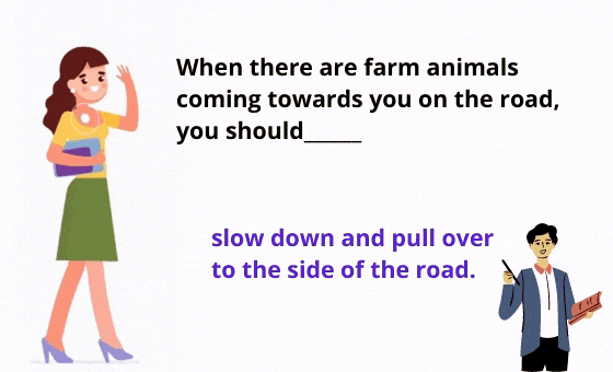 8 Kopie von Flash Cards Sri (26)